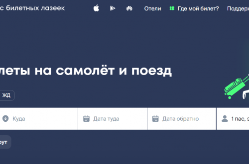 Пассажир проверяет авиабилет на ноутбуке и вносит исправления перед полётом